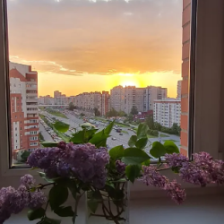 2-комнатные апартаменты эконом