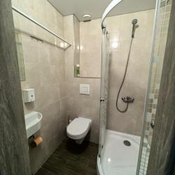 Фото Отель Гостевой дом Пчелка