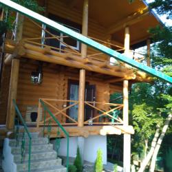 Фото Отель Дома в лесу