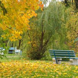Фото Отель Загорские дали