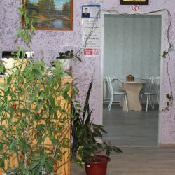 Фото Отель Роза ветров