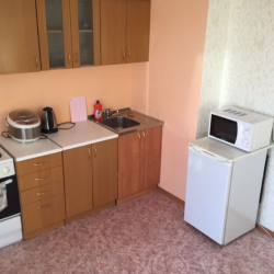 Фото Апартаменты на улице Наседкина 19