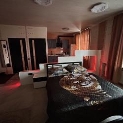 Фото Апартаменты на проспекте Ленина 37/73