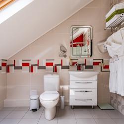 Номер люкс с 1 двуспальной кроватью