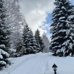 Фото Отель Woodland (Вудлэнд)