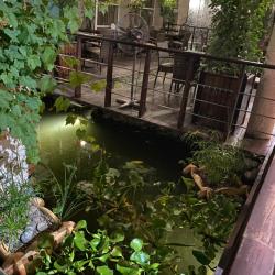 Фото Отель Belvedere (Бельведер)