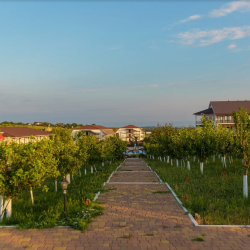 Фото Отель Tizdar Family Resort & Spa (Тиздар)