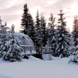 Фото Отель Ladaglamp (Ладаглэмп)