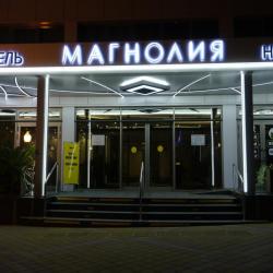 Магнолия — a78963e16089f7ae9f65f669d562bac4