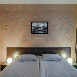 Фото Отель Базилик