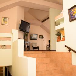 Фото Апартаменты Loyal Guest House (Лоял) на улице 9-я Линия