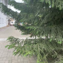 Номер люкс улучшенный