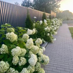 Фото Отель Клинвуд