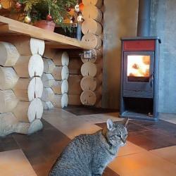 Коттедж премиум