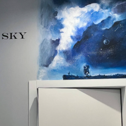 1-комнатные апартаменты студия с 1 двуспальной кроватью SKY