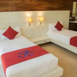 Номер улучшенный премиум с 2 односпальными кроватями