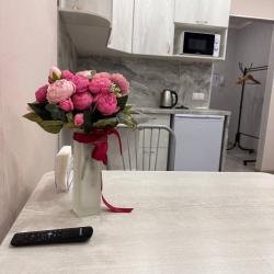 Фото Апартаменты на улице Карамзина