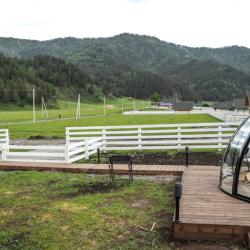 Фото Отель Альпинс residence