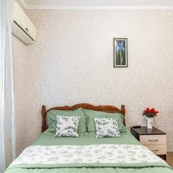 2-местный 1-комнатный номер эконом с 1 двуспальной кроватью