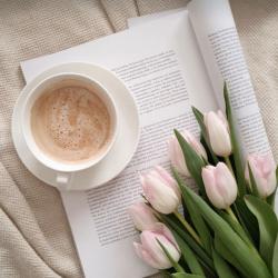 1-комнатные апартаменты студия Окно в New York_Санкт-Петербург, Мурино, Привокзальная пл., д.1а, к2