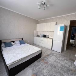 1-комнатные апартаменты студия