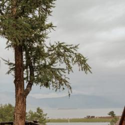 Фото Отель Endemic (Эндемик)