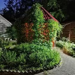 фото 37 Четыре короны