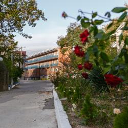 Фото Отель Argo Park (Арго Парк)