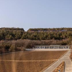 Фото Отель Вилла Aya