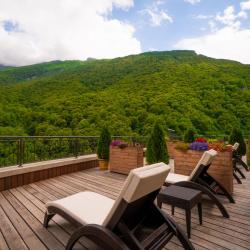 Фото Отель Forrest Terrace Hotel (Форрест Терасса)
