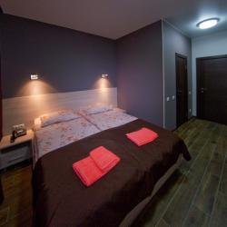 1-комнатный номер стандарт с 1 двуспальной кроватью