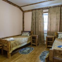 Номер стандарт плюс с 2 односпальными кроватями (с завтраком)