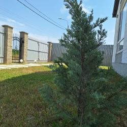 Фото Отель Коттедж Скандинавия Анапа