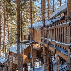 Фото Отель Ой-Карагай Лесная Сказка (Oi-Qaragai)