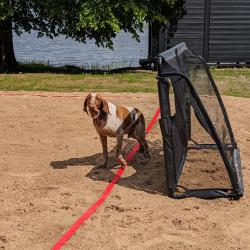 Фото Дизайн-отель Seliger Club (Селигер Клуб)