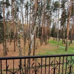 фото 27 Бисерово