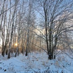 Фото Отель Тритон Лофт