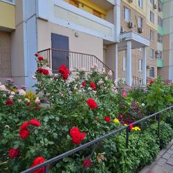 Фото Апартаменты на улице Жданова