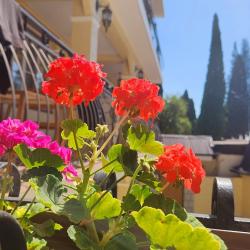 Фото Отель Casa Del Sol (Каса Дель Сол)