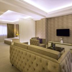 Фото Отель Paris Hotel Yerevan (Париж )