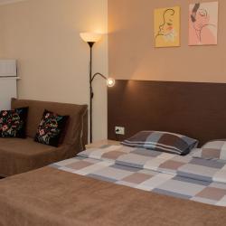 Комната люкс с 1 двуспальной кроватью