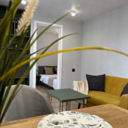 Фото Апартаменты Grinvich