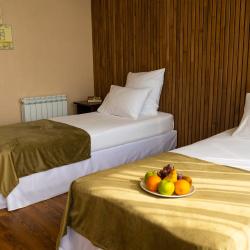 Номер стандарт комфорт с видом на бассейн #301