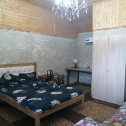 Фото Отель Эмиль