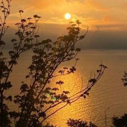 Фото Отель Квартира на проспекте 100-летия а 163