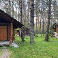 Фото Отель Деревня Берендеевка