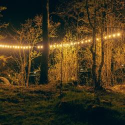 Фото Отель Уютные ёлы