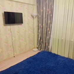 Фото Апартаменты на улице Тимме 22 корпус 2