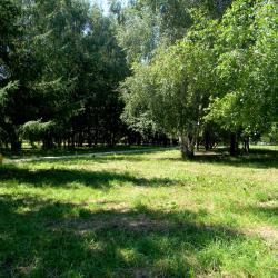 Фото Отель Фламинго