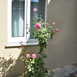 1-комнатные апартаменты студия г. Кисловодск, ул. Гагарина, д. 58